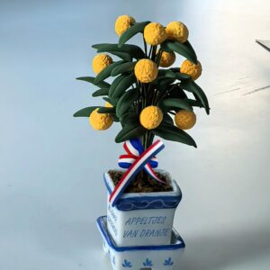 Miniatuur handgemaakte APPELTJES VAN ORANJE