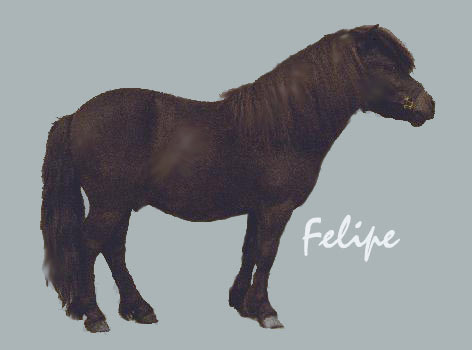 felipe