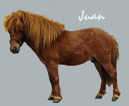 juan