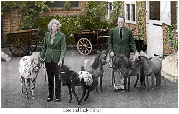 lord-lady-falabella