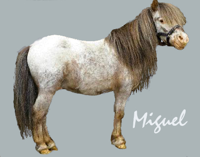 miguel