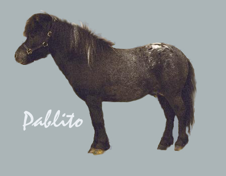 pablito2